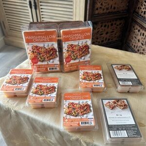 Bundle of (6) ScentSationals & (2) Target Brand Fruity Marshmallow Wax Melts.